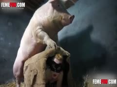 Zoophile sneaks in the barn to try xxx copulation with excited pig